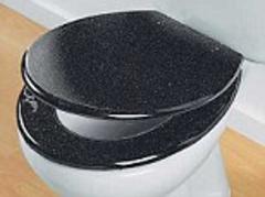 Warning over danger of falling toilet seats which send more than 1,000 boys and men to hospital every year