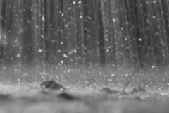 Welcome to North Georgia Weather's Blog!