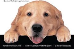 Pet Adoption Event Saturday at Haverford Square
