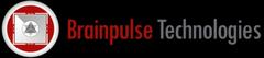 brainpulse reinvents seo services to address google penguin / panda updates