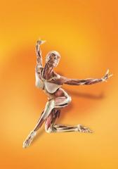 Enigmatic Dancer Turns Heads In New York City At The BODY WORLDS: PULSE Exhibit Open Now At Discovery Times Square